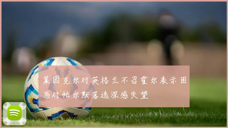 莱因克尔对英格兰不召霍尔表示困惑对帕尔默落选深感失望